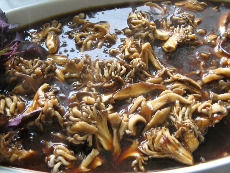 Prato de carne de file com molho de shitake